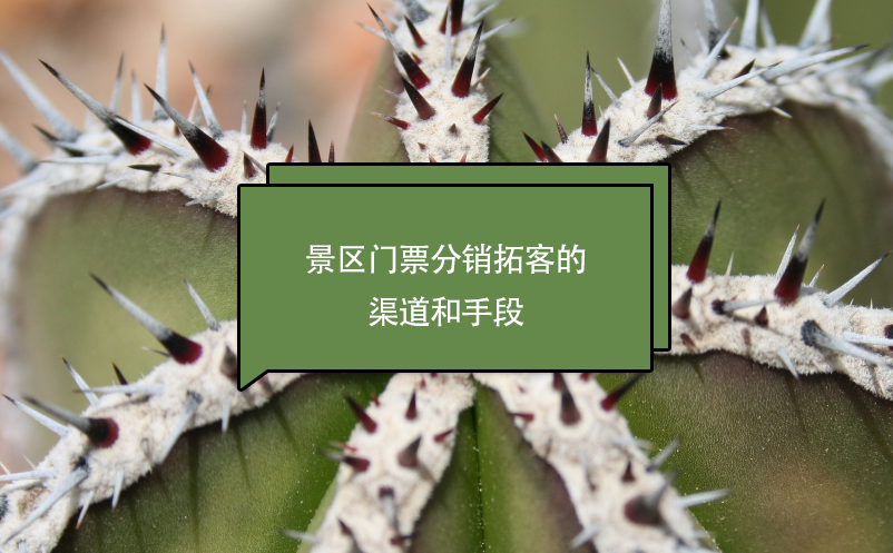景區(qū)門(mén)票分銷(xiāo)拓客的渠道和手段