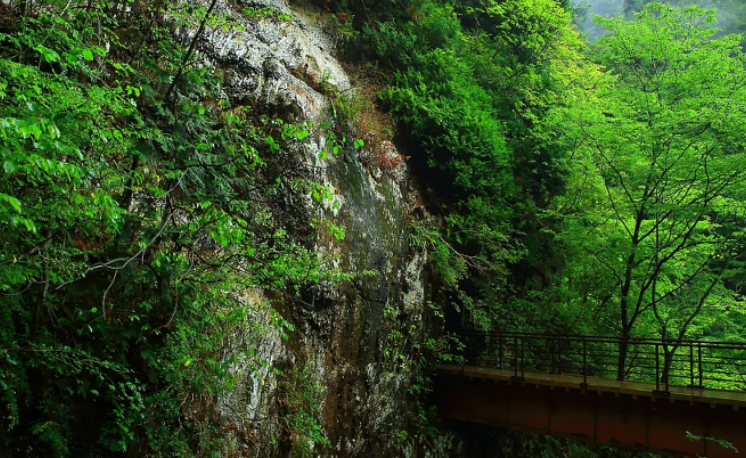 景區(qū)成功的營銷是游客第一時(shí)間向親友推薦式炫耀