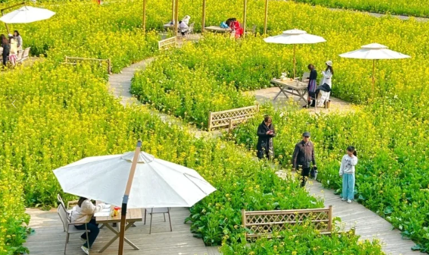 有機農(nóng)場 + 文旅：解鎖鄉(xiāng)村新玩法