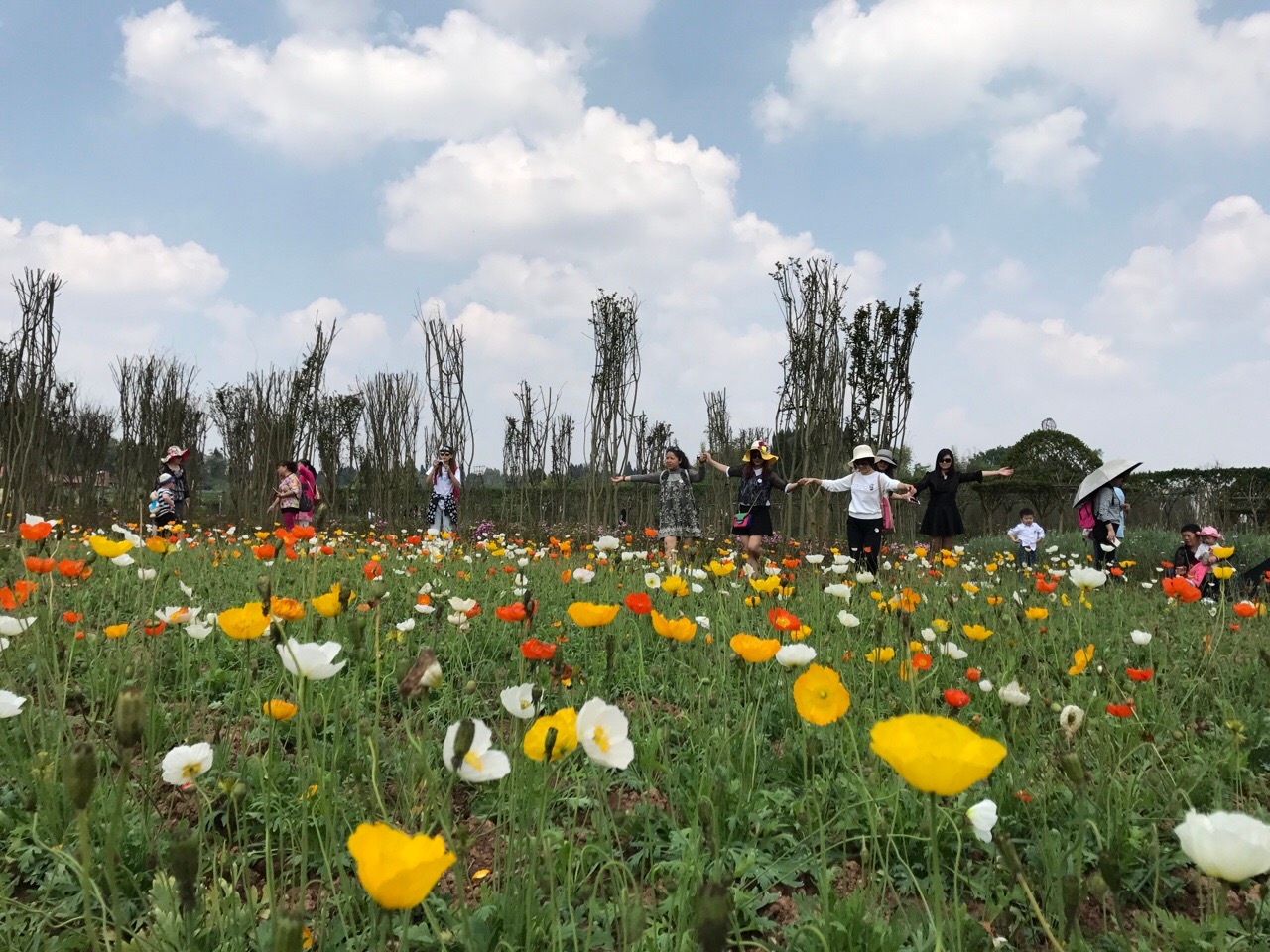 又有景區(qū)倒閉了踩了什么坑，景區(qū)票務(wù)系統(tǒng)可以解決哪些？ 
