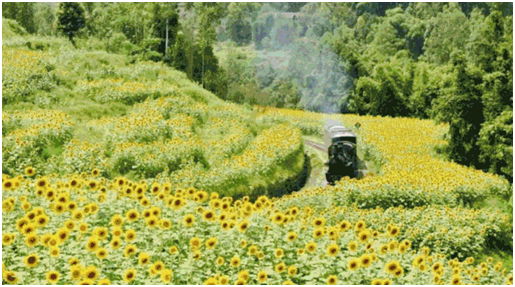 易景通助力景區(qū)上線智慧票務(wù)系統(tǒng)