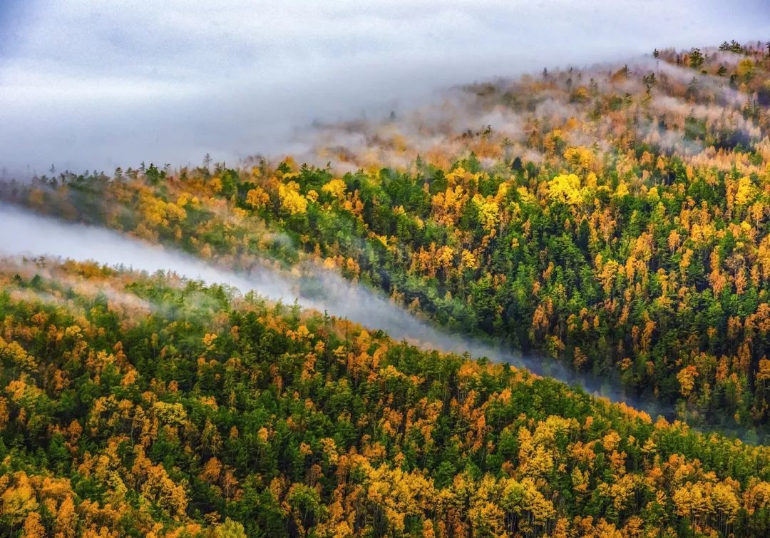 電子門票系統(tǒng)下載如何開展電子門票的相關(guān)事宜？在線客戶