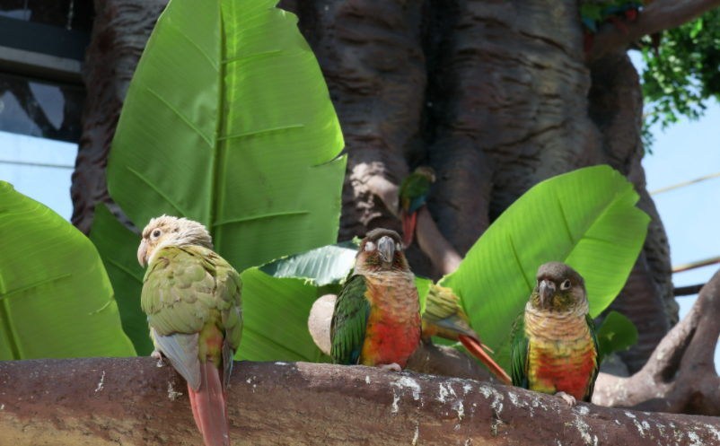 網(wǎng)紅景區(qū)可持續(xù)發(fā)展方案