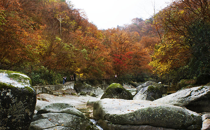 景區(qū)營銷主體應該多元化