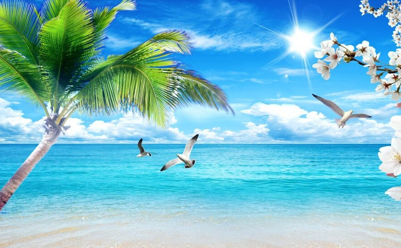 景區(qū)內(nèi)容營銷