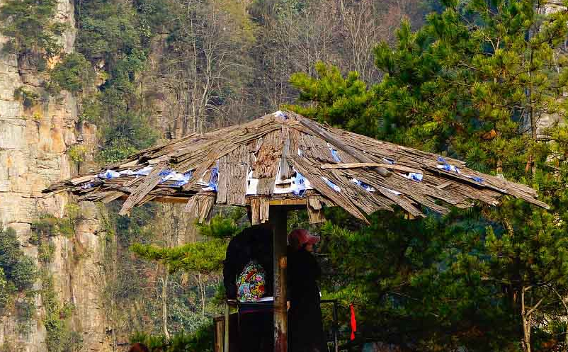 沉浸式旅游項(xiàng)目為何受到追捧