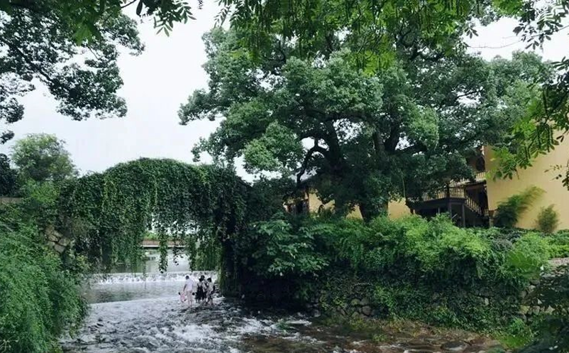 網(wǎng)紅鄉(xiāng)村旅游景點(diǎn)如何打造