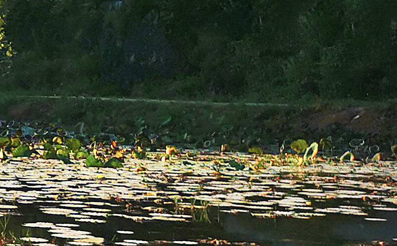 景區(qū)自媒體營銷應(yīng)根據(jù)自媒體特點(diǎn)和景區(qū)特色選擇恰當(dāng)?shù)臓I銷手段