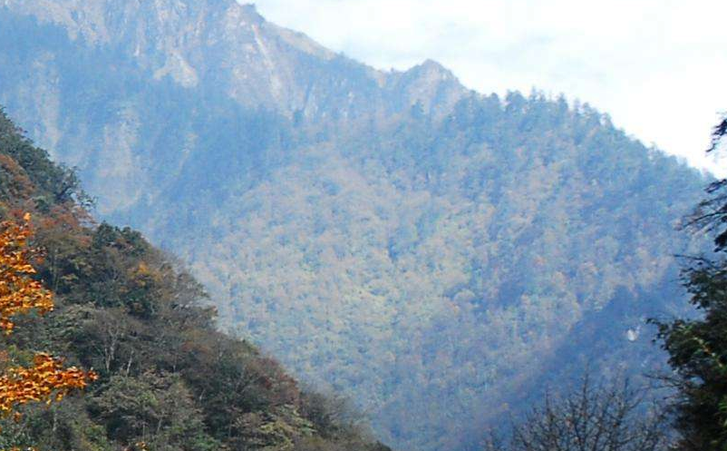 影視旅游目的地集合粉絲群體，助力景區(qū)精準(zhǔn)營銷