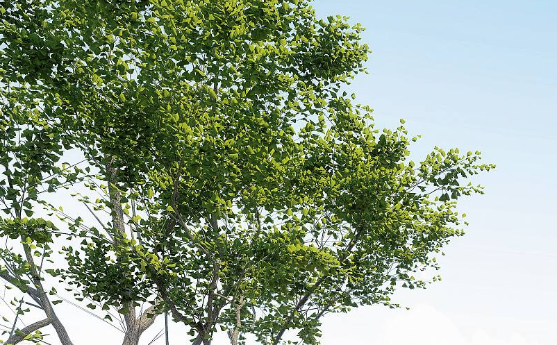 抖音等短視頻對旅游景區(qū)營銷的價值