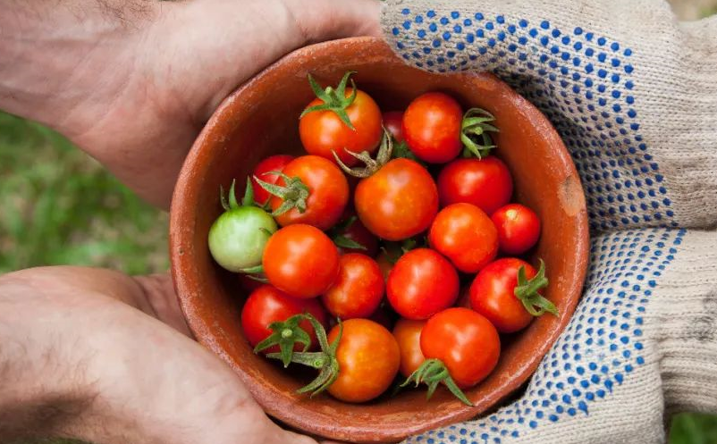 鄉(xiāng)村旅游項目開發(fā)