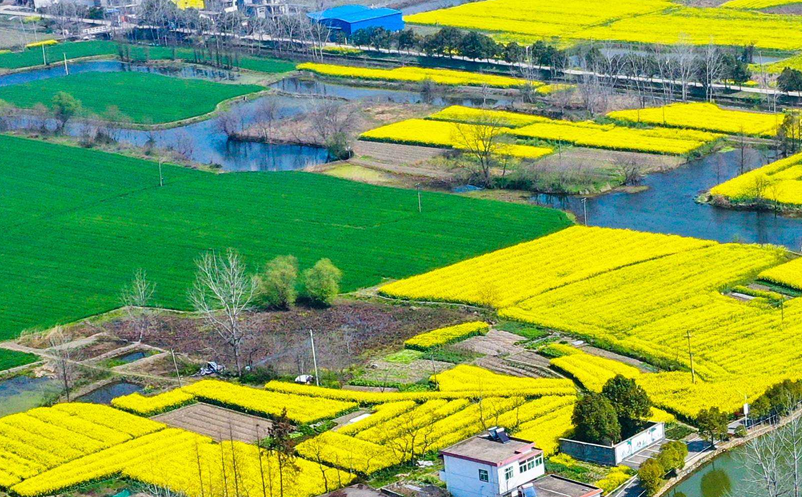 社會(huì)化媒體營銷慢慢取代旅游景區(qū)以往的營銷方式