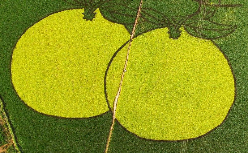 旅游景區(qū)如何用微信公眾號(hào)打造私域流量