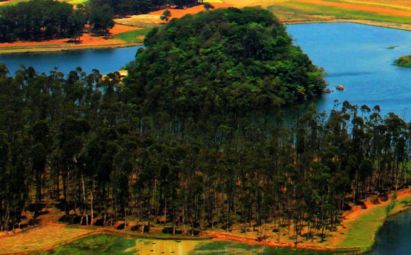 景區(qū)私域流量打造