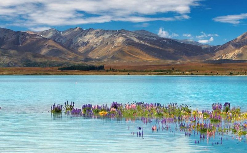 景區(qū)新型營(yíng)銷模式