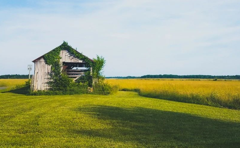 旅游是天然的體驗經(jīng)濟