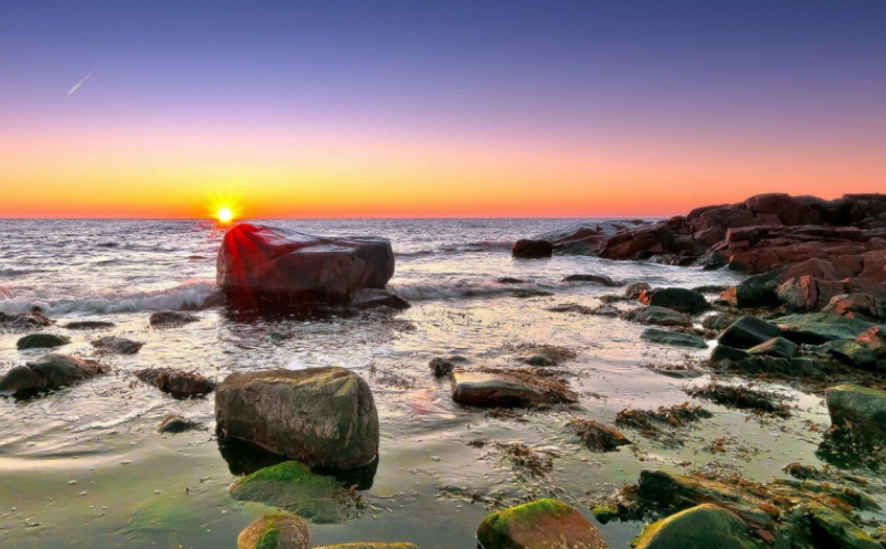 景區(qū)員工績效考核方案