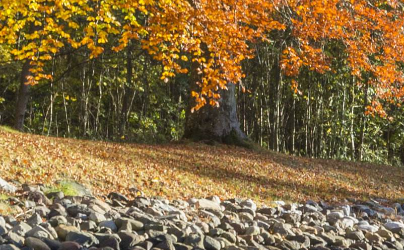 景區(qū)營銷組織方案