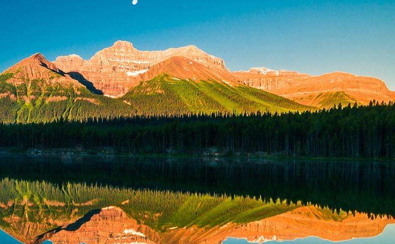 景區(qū)抖音營銷