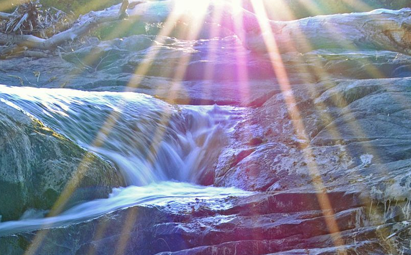 大學(xué)生旅游者成為旅游景區(qū)不可忽視的細分市場