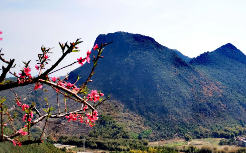 當(dāng)疫情防控遇到 “五一”假期，“鄉(xiāng)村游”將大有可為？