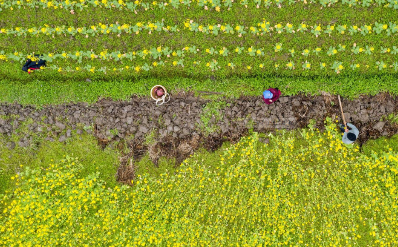 如何打造鄉(xiāng)村旅游“浸入式”體驗