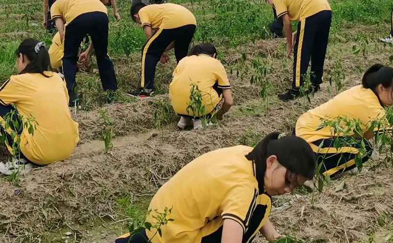 繼“雙減”政策后，如何創(chuàng)新研學(xué)旅游產(chǎn)品和服務(wù)