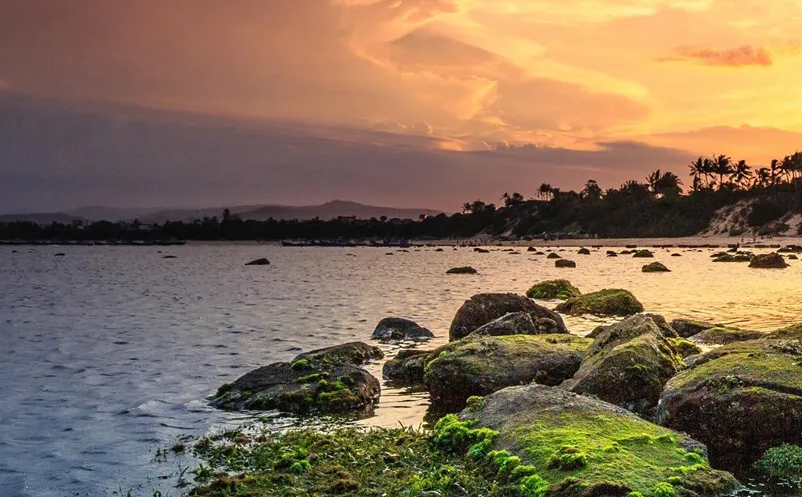 1653374774862918.png image.png