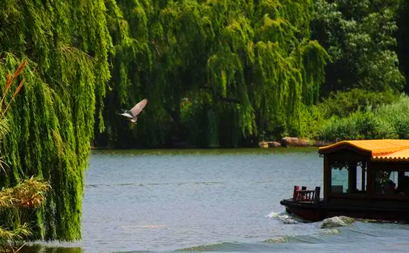 景區(qū)短視頻營銷的價(jià)值