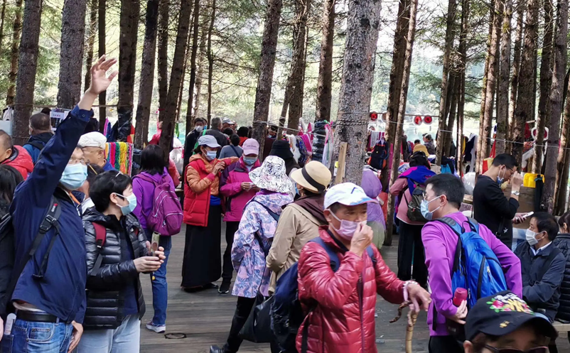 景區(qū)分流限流措施