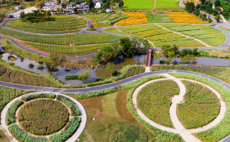 智慧城市向智慧鄉(xiāng)村延伸的四大誤區(qū)