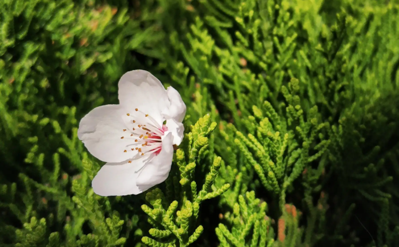 元宇宙對(duì)旅游產(chǎn)業(yè)發(fā)揮積極的影響 