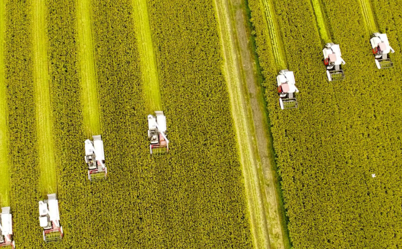 農(nóng)村產(chǎn)業(yè)融合發(fā)展六大對(duì)策建議和六大發(fā)展趨勢(shì) 