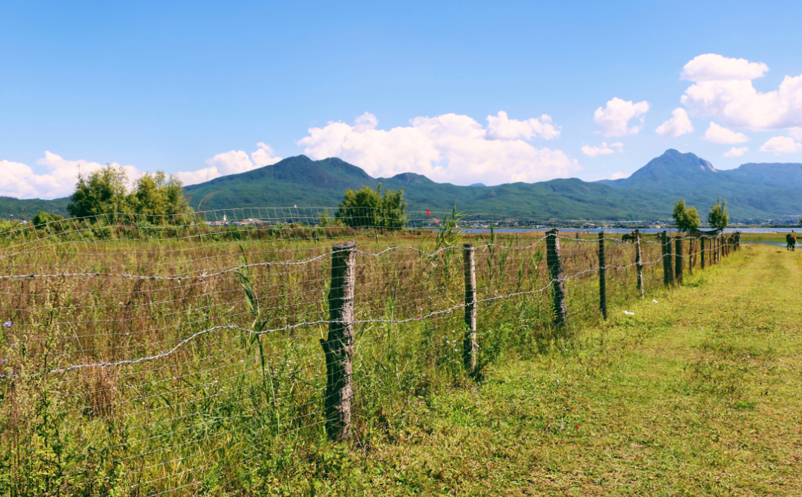 農(nóng)村智慧旅游