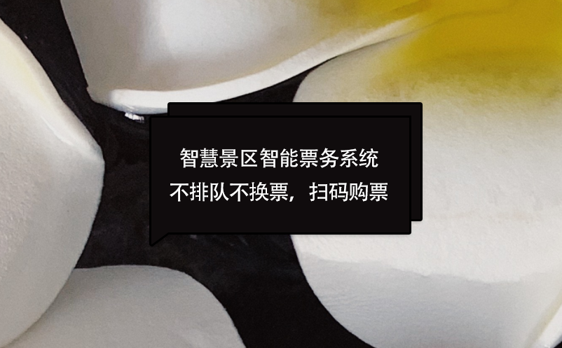 智慧景區(qū)智能票務系統(tǒng)不排隊不換票，掃碼購票