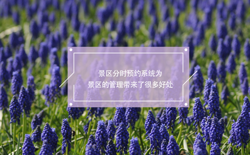 景區(qū)分時預(yù)約系統(tǒng)為景區(qū)管理帶來了很多好處
