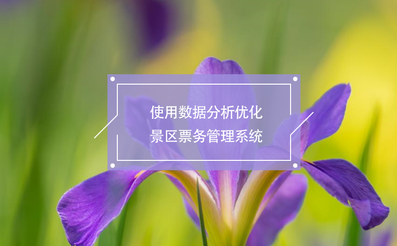 使用數(shù)據(jù)分析優(yōu)化景區(qū)票務(wù)管理系統(tǒng)