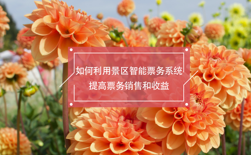 如何利用景區(qū)智能票務(wù)系統(tǒng)提高票務(wù)銷售和收益