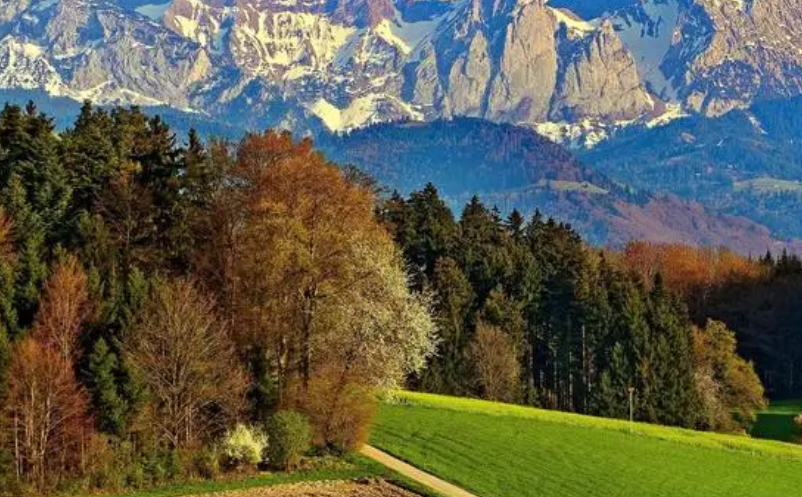 社?？ㄎ穆靡豢ㄍǎㄉ绫？ń尤刖皡^(qū)票務(wù)系統(tǒng)）