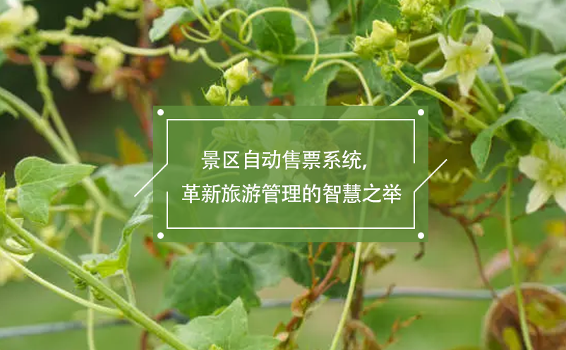 景區(qū)自動(dòng)售票系統(tǒng)，革新旅游管理的智慧之舉