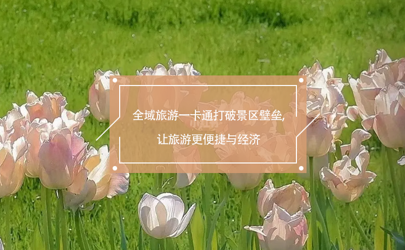 全域旅游一卡通打破景區(qū)壁壘,讓旅游更便捷與經(jīng)濟(jì)