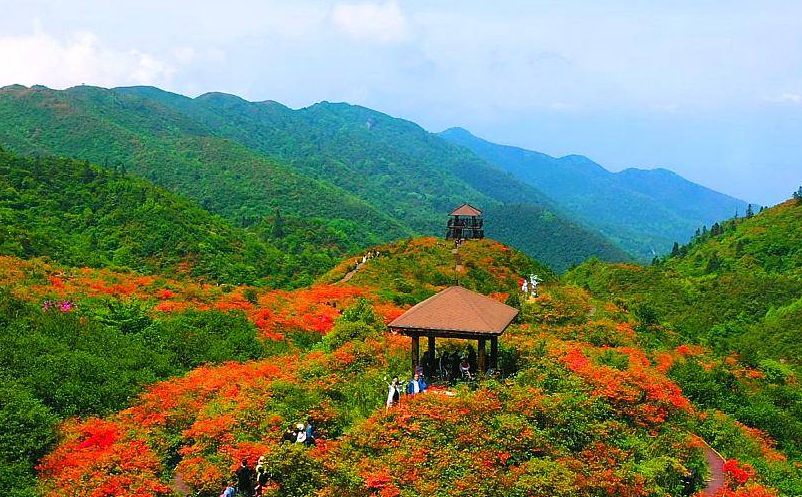 舉例說明景區(qū)票務(wù)系統(tǒng)如何提升景區(qū)的競爭力和運(yùn)營效率