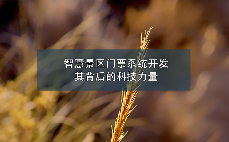 智慧景區(qū)門票系統(tǒng)開(kāi)發(fā),其背后的科技力量