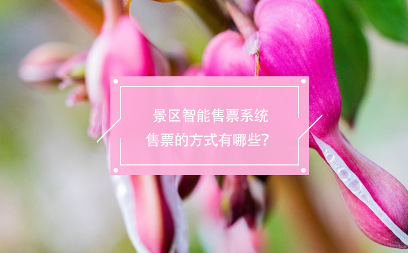 景區(qū)智能售票系統(tǒng)售票的方式有哪些？