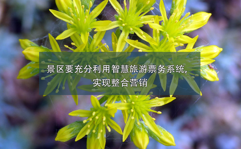 景區(qū)要充分利用智慧旅游票務(wù)系統(tǒng)，實(shí)現(xiàn)整合營銷