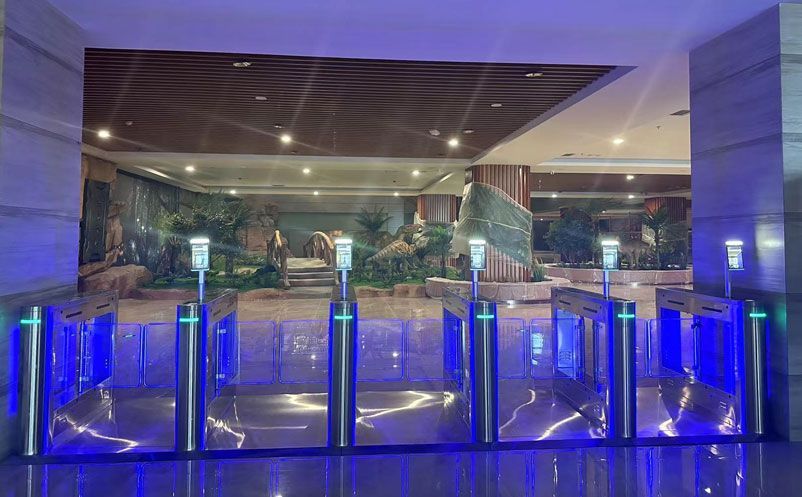 景區(qū)門禁道閘系統(tǒng)軟件智能化升級