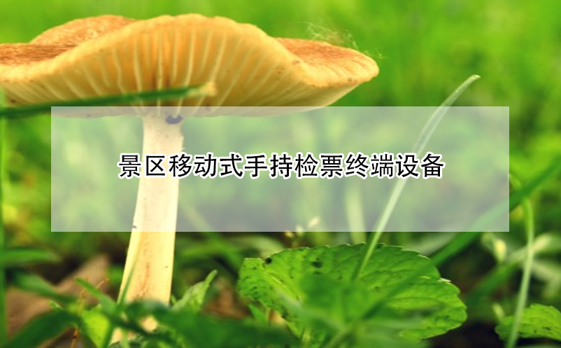 景區(qū)移動式手持檢票終端設(shè)備