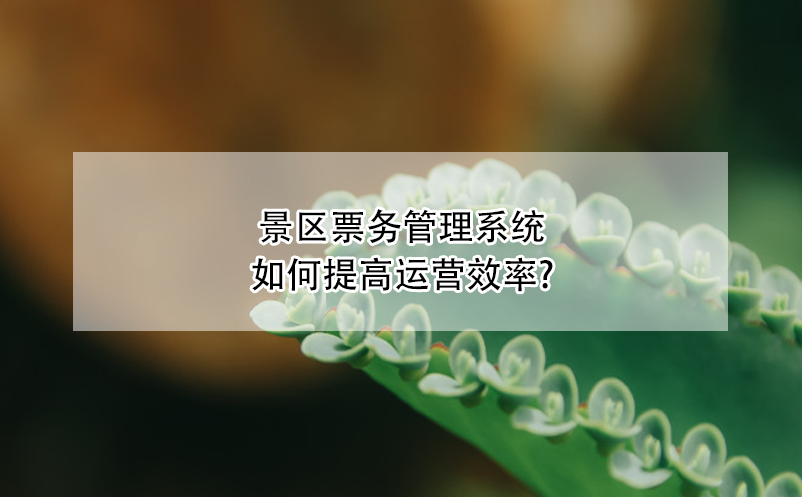 景區(qū)票務管理系統(tǒng)如何提高運營效率?