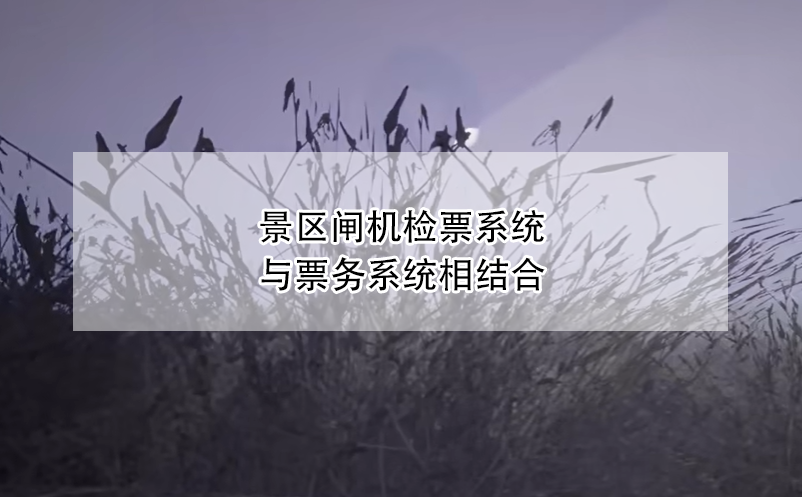 景區(qū)票務系統(tǒng)技術支持與售后服務