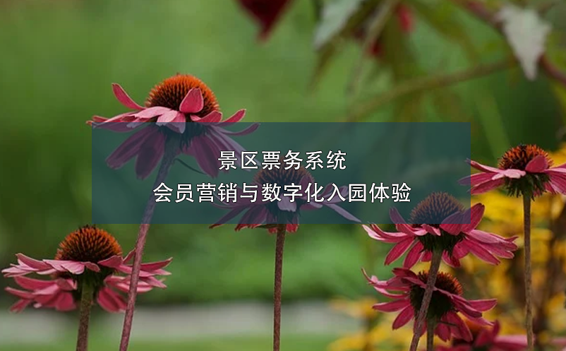景區(qū)票務(wù)系統(tǒng)會員營銷與數(shù)字化入園體驗